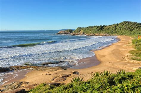 nudis pics|Beach in Brazil for naturists photo gallery [ギャラリーヌーディズム].